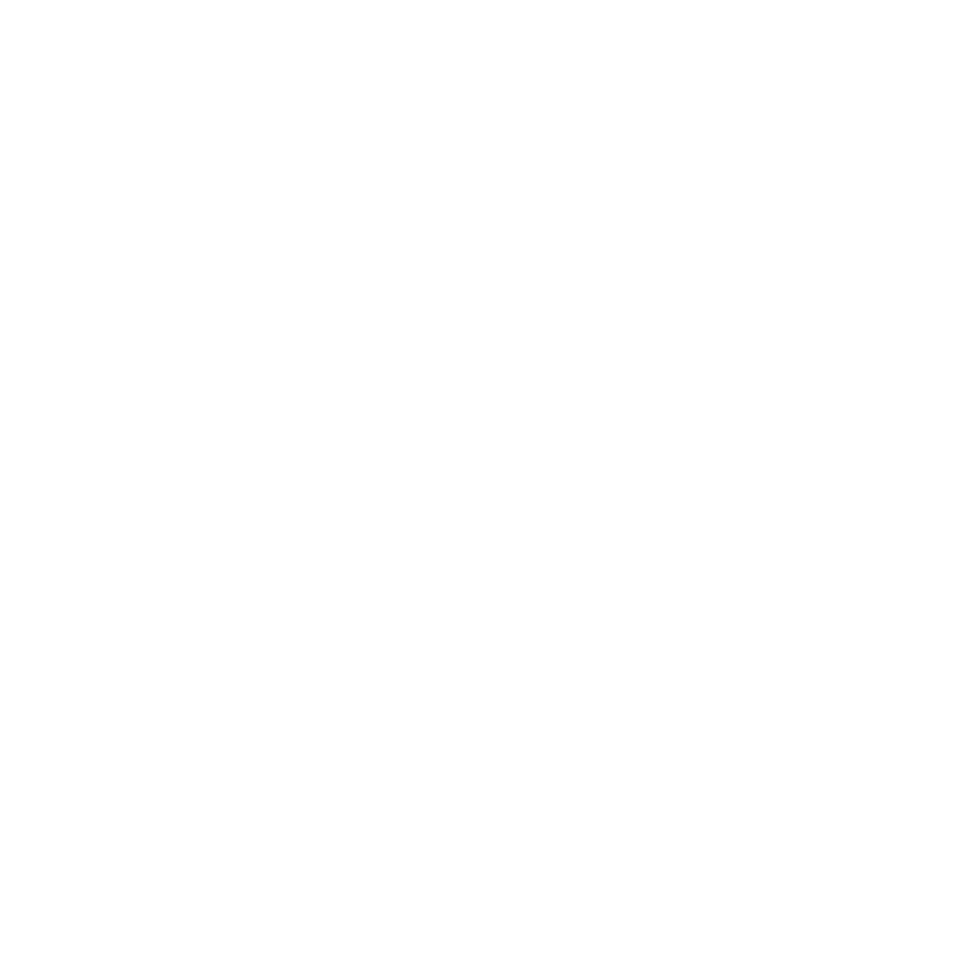 SOLE UBU